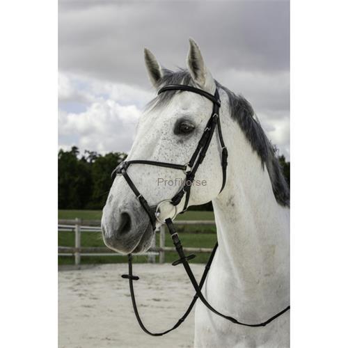 Kožená uzdečka s mexickým nánosníkem Riding World, černá
