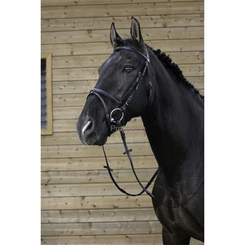 Kožená uzdečka Riding World, černá