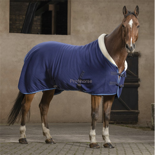 Fleecová deka Riding World Comfort
