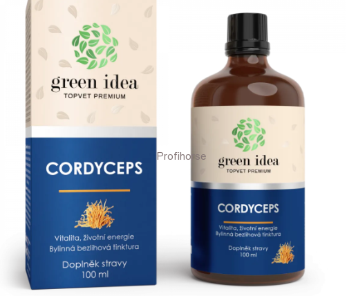 CORDYCEPS - vitalita, životní energie