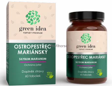 OSTROPESTŘEC - Ochrana jater, jaterní tkáně