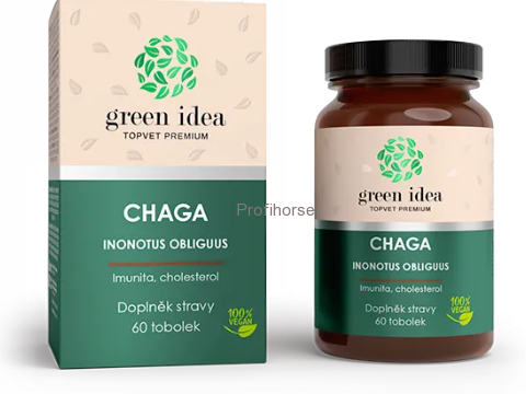 CHAGA - imunita