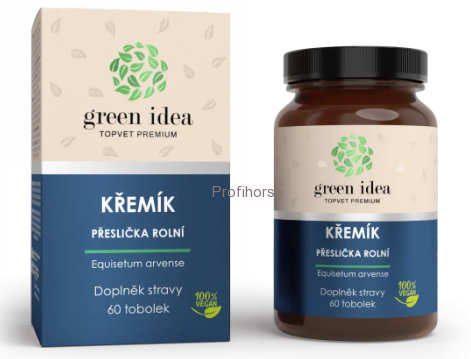 KŘEMÍK - Pro normální stav kloubů a kostí