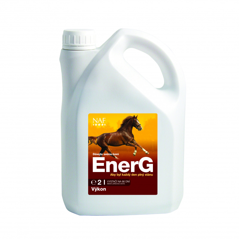 EnerG s železem pro maximální využití energie, 2 l