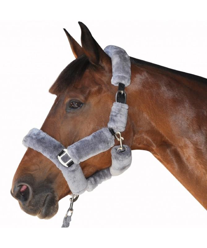 Ohlávka s beránkem Canter