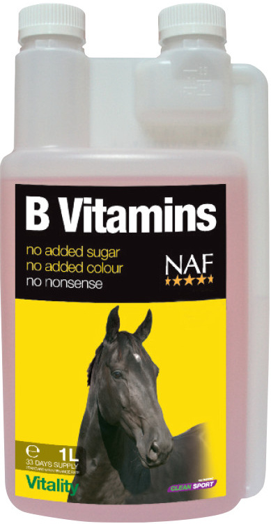 B vitamins pro soustředěnost a vitalitu, 1l koní