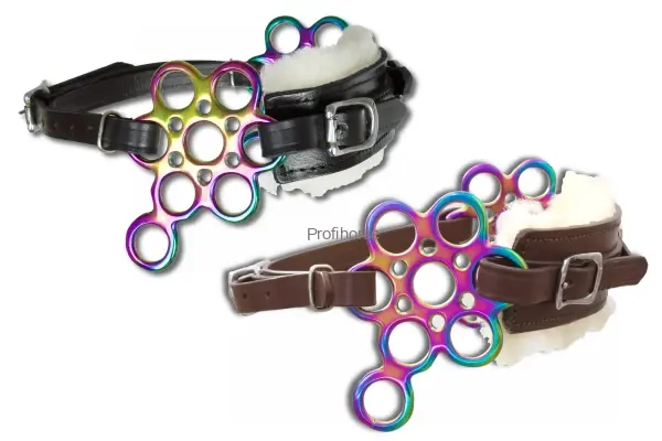 Hackamore Flower rainbow