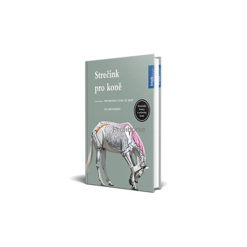 Kniha Strečink pro koně, Gillian Higgins