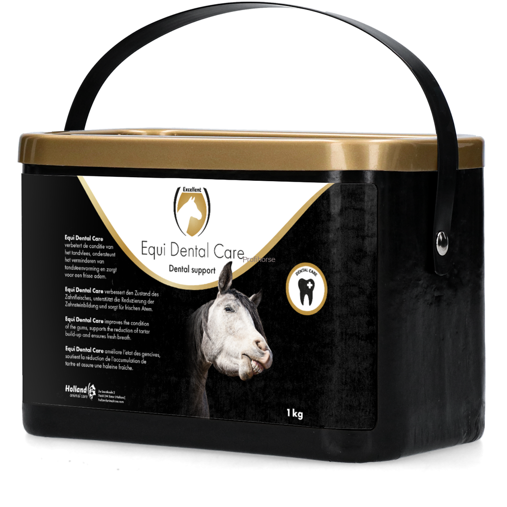 Equi Dental Care