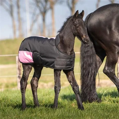 Nepromokavá deka Harrys Horse 200g, pro hříbata