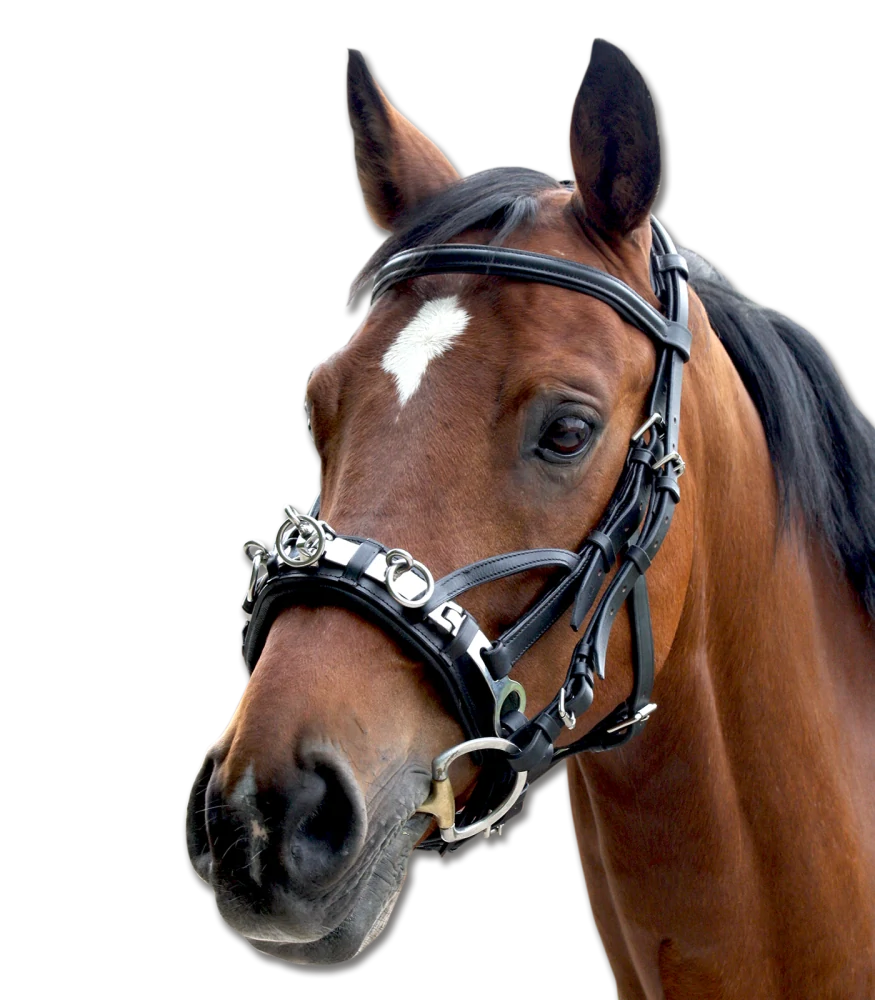 Kožený obnosek Waldhausen