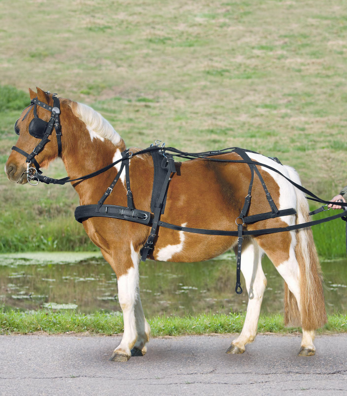 Jednoduchý syntetický postroj, STAR pony a shetty