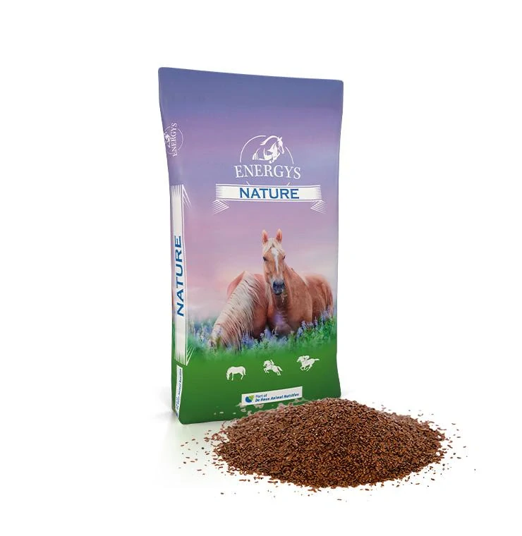Lněné semínko, ENERGYS, celé, 10 kg