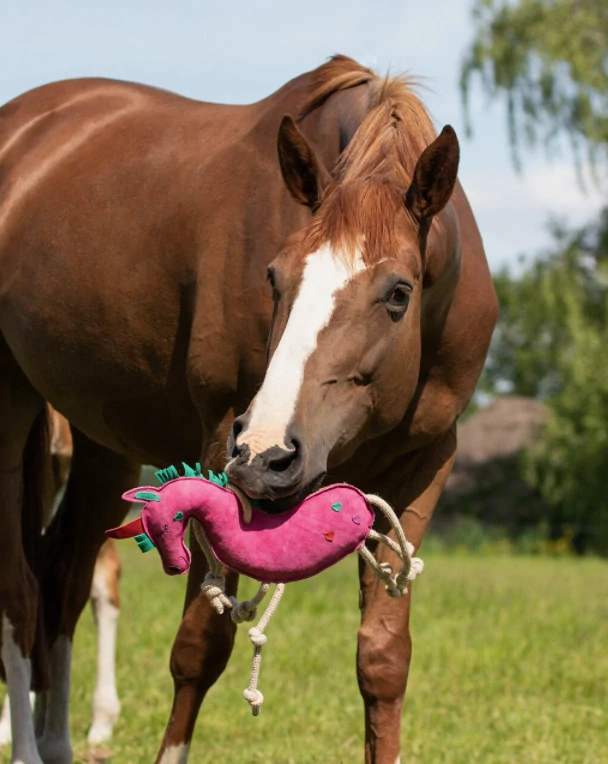 Kožená hračka QHP - unicorn