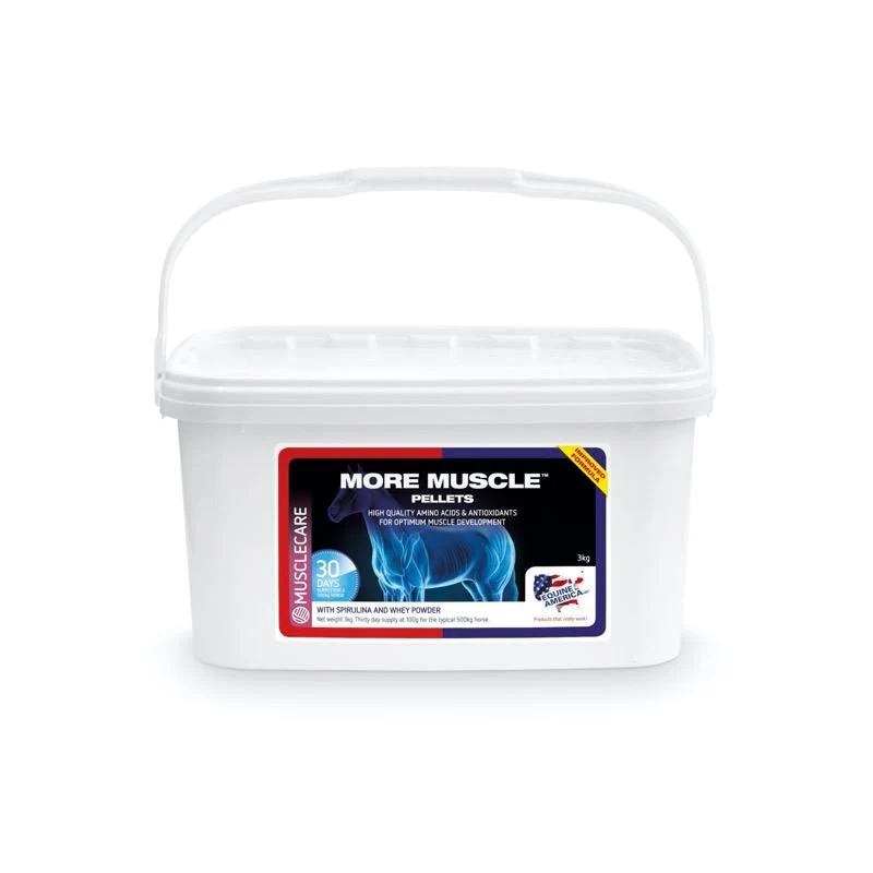 More Muscles pro snadnou tvorbu silných a zdravých svalů s lysinem a leucinem, 3 kg