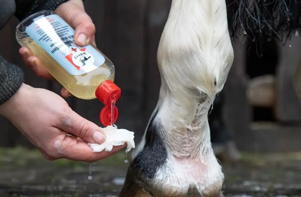 Mycí gel pro koně s citlivou nebo porušenou pokožkou Erste Hilfe MED-Waschlotion, 250 ml