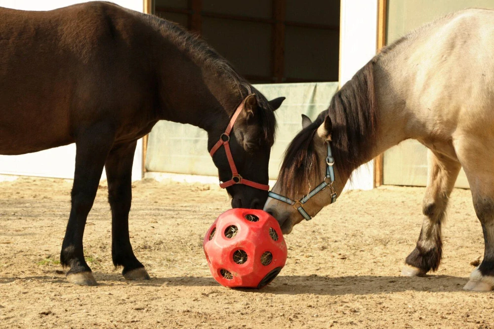Balón na krmivo HeuBoy