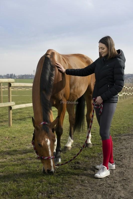 Dámská zimní bunda EQUITHEME Lara