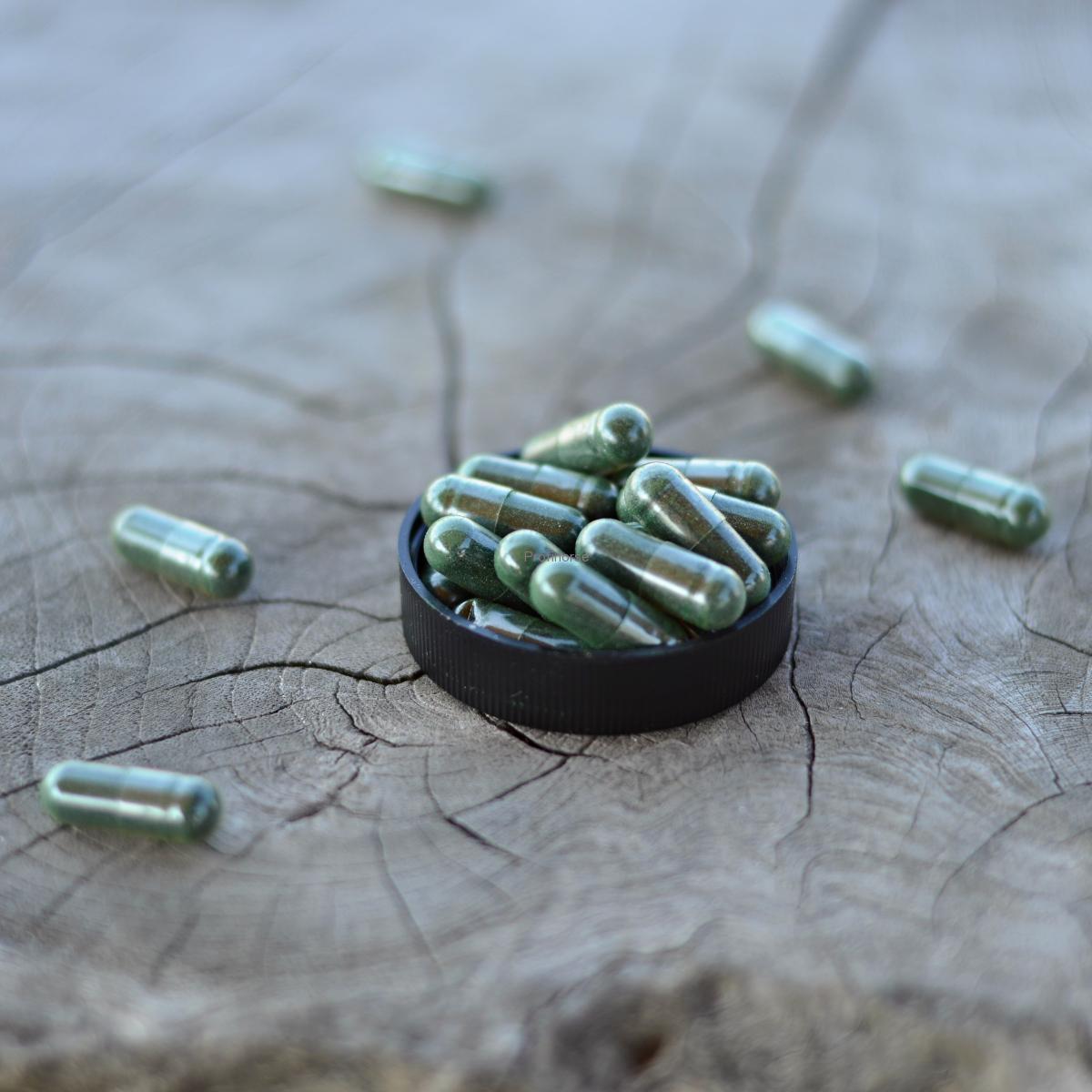 SPIRULINA - vitalita, antioxidant