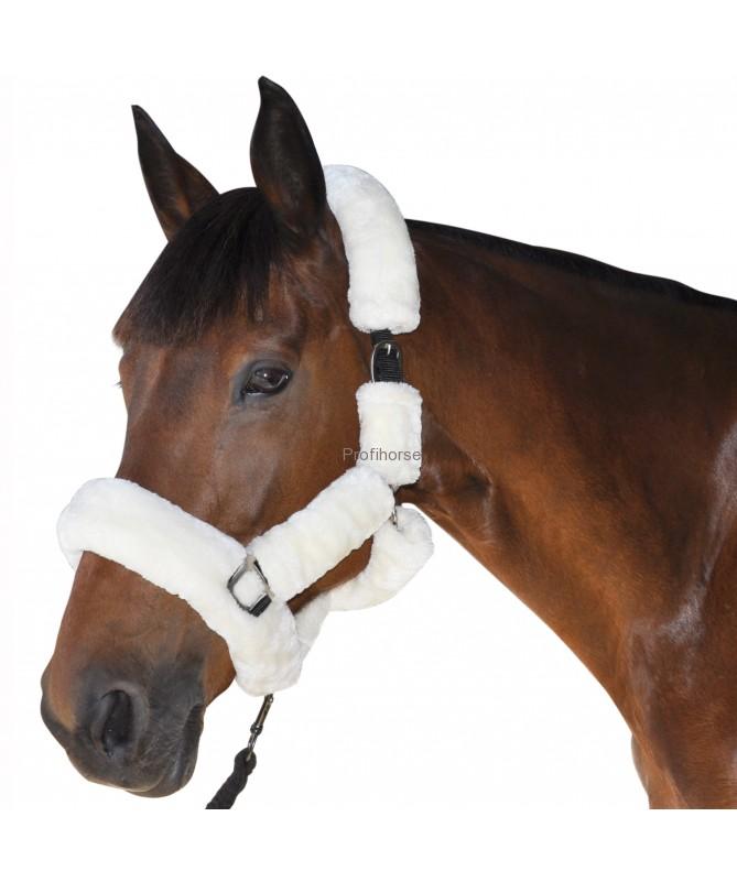 Ohlávka s beránkem Canter