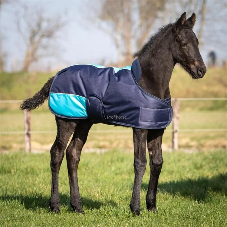 Nepromokavá deka Harrys Horse 200g, pro hříbata