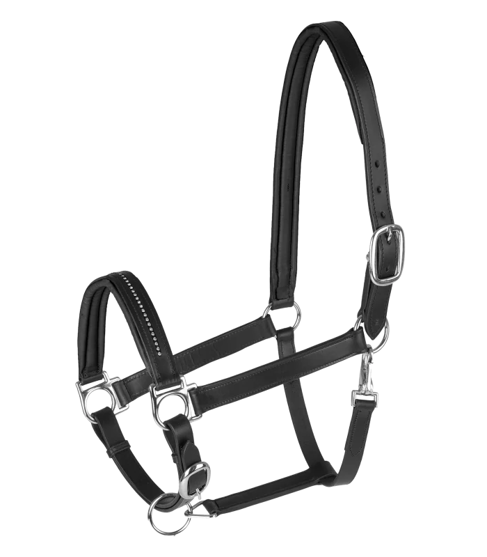 Kožená ohlávka STAR Diamond