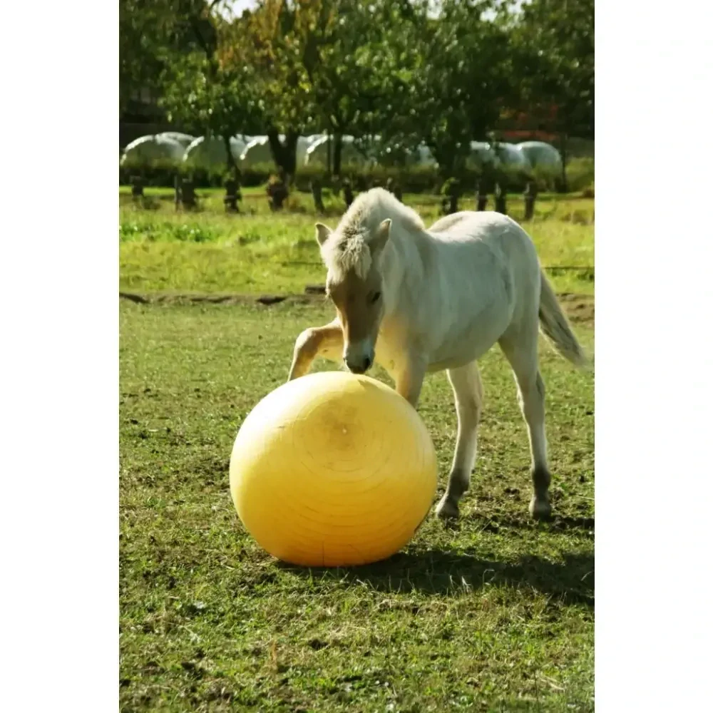 Míč pro koně Maximus, 100 cm