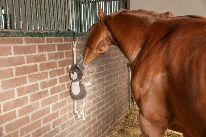 Kožená hračka pro koně, Medvěd, 40 cm