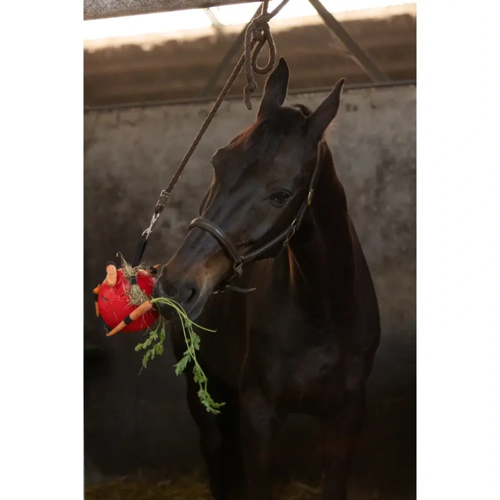 Míč pro koně Excellent - Maximus