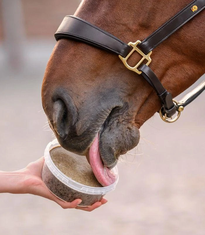 Bylinný liz do ruky Waldhausen, 650 g