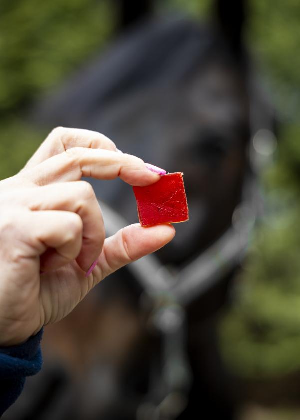 Ovocné želé třešeň + kardamom – měkké gumové bonbóny pro koně, 300 g