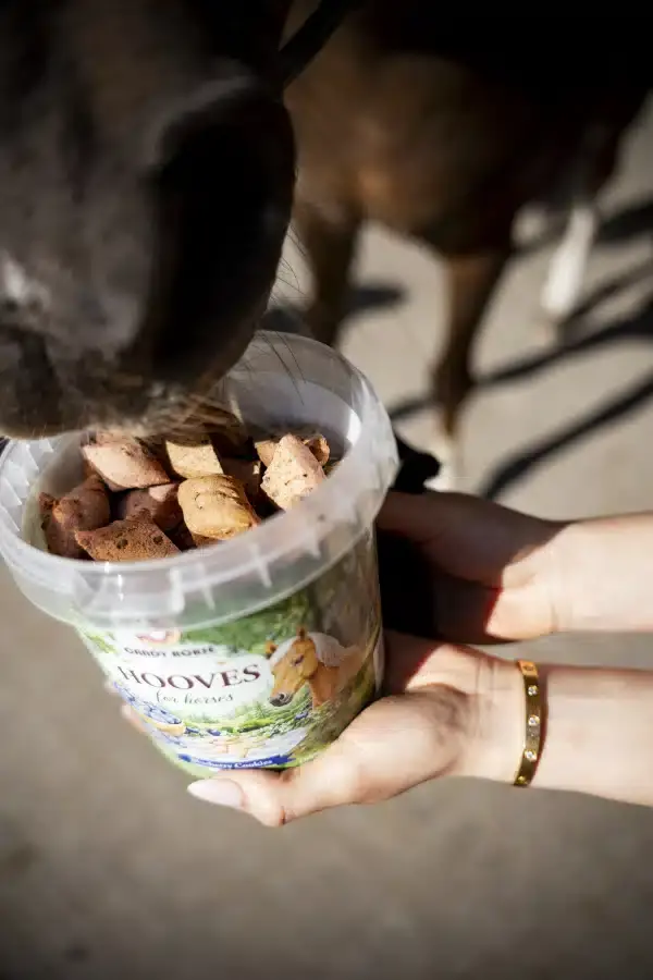 Pamlsky Candy Horse, lesní ovoce, 1200 g