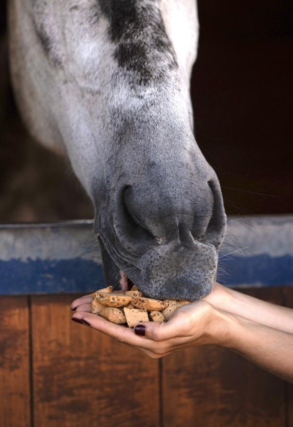 Pamlsky Candy Horse, jahoda - bazalka, 1200 g