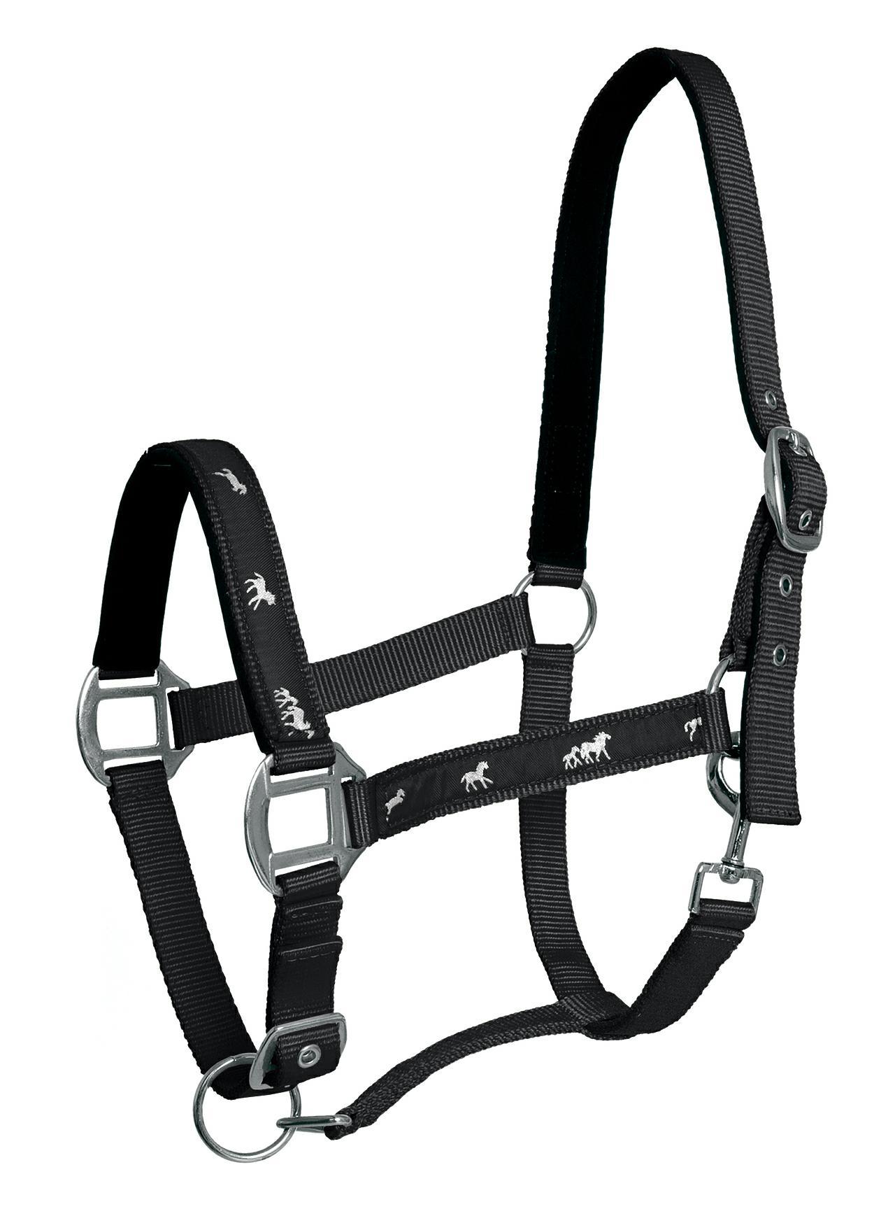 Ohlávka Active Horse Api