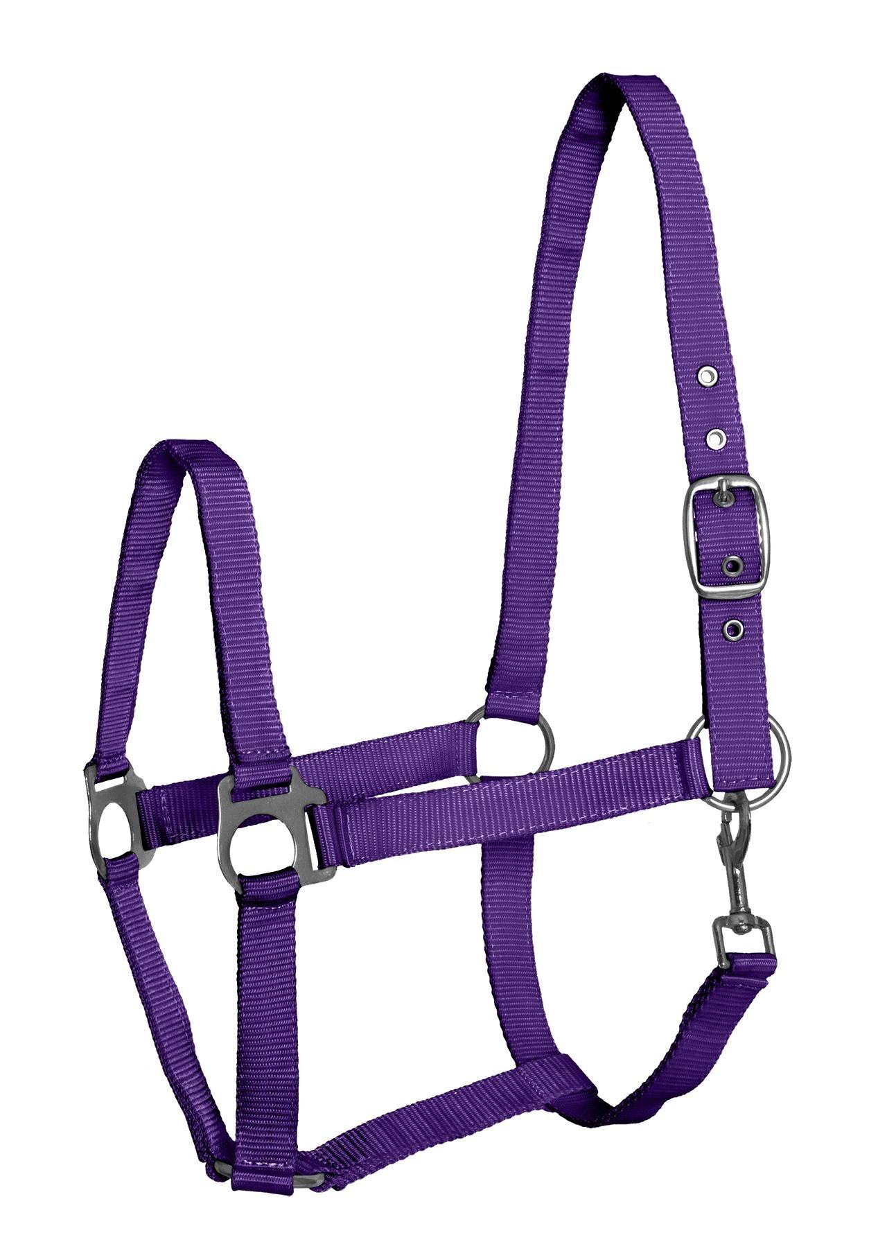 Ohlávka API Eco