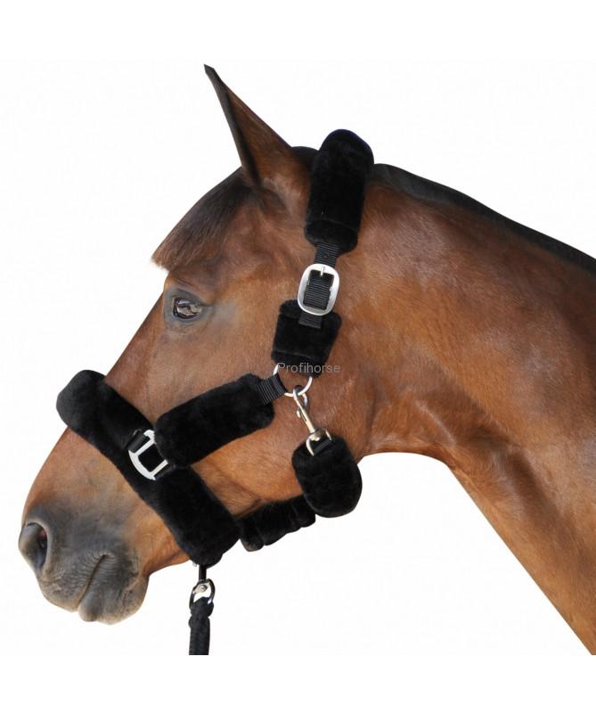 Ohlávka s beránkem Canter