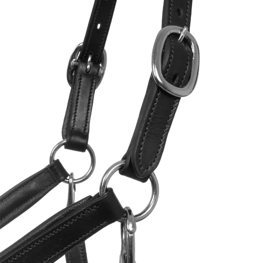 Anatomická ohlávka Supreme, podložená