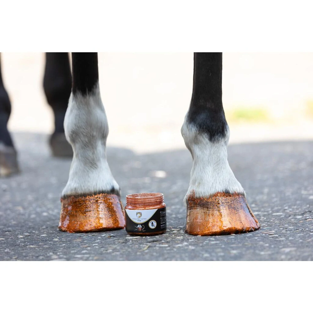 Lesk na kopyta se třpytkami Excellent Horse Hi Gloss, oranžový, 150 ml