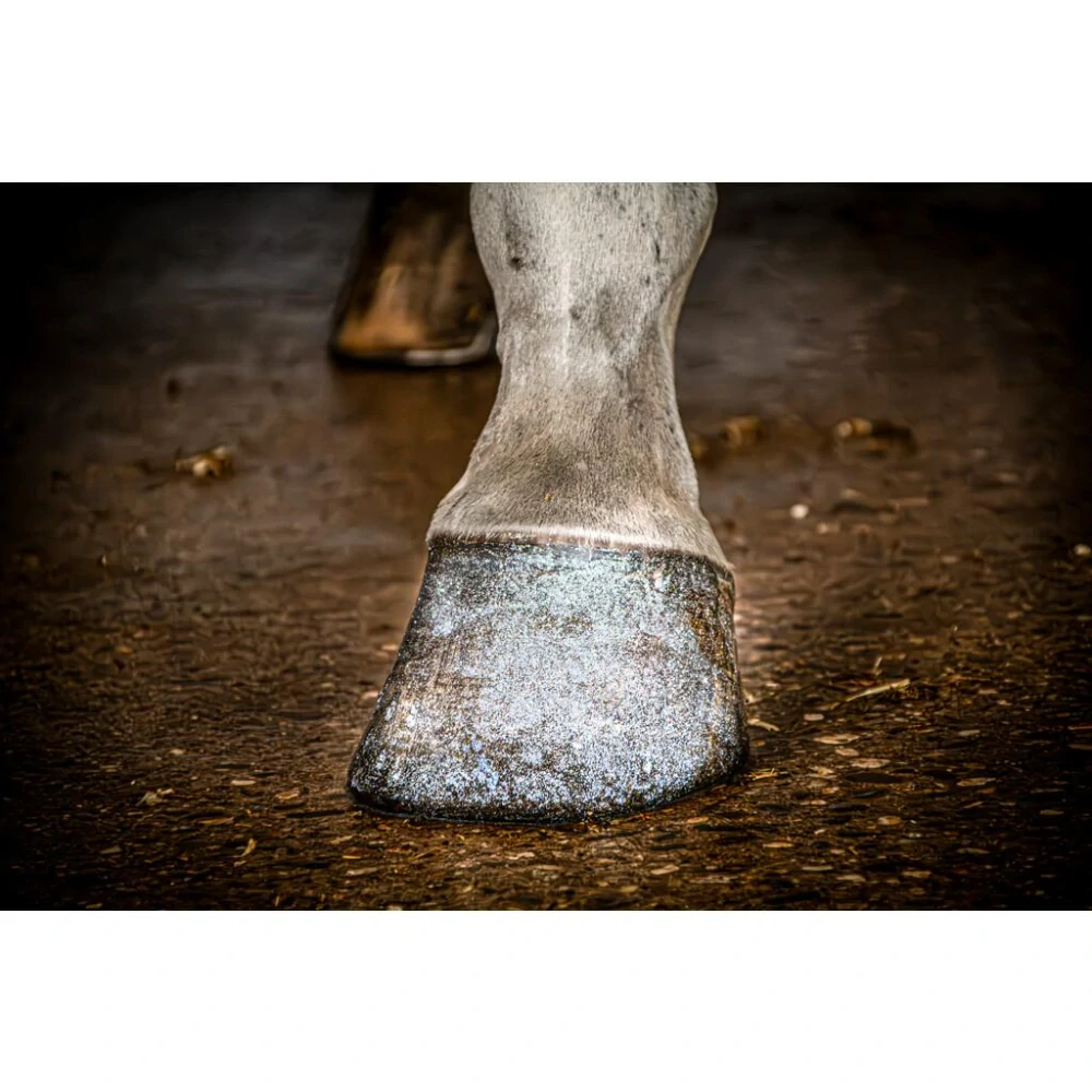 Lesk na kopyta se třpytkami Excellent Horse Hi Gloss, stříbrné, 150 ml