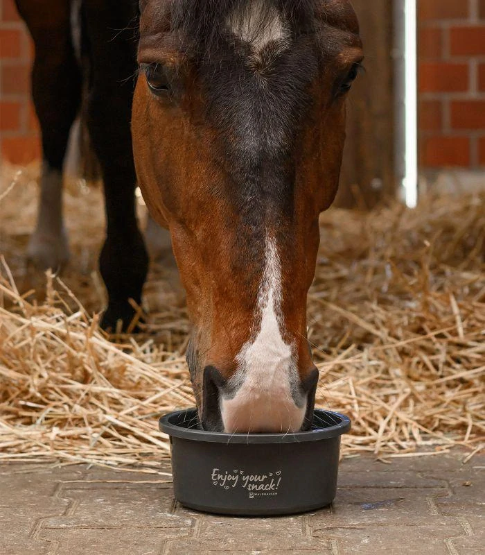 Malá miska na krmení Waldhausen, 2 l