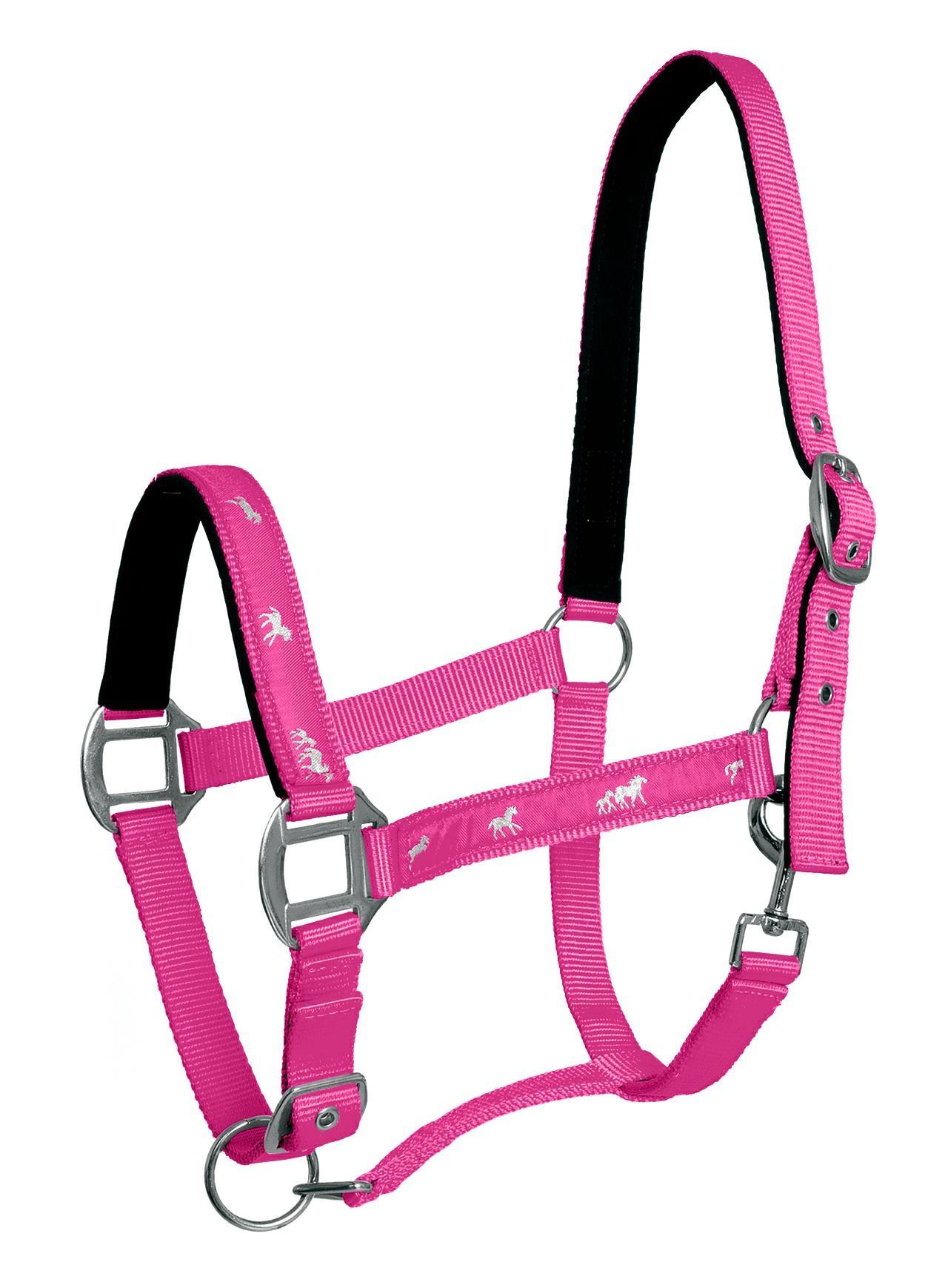 Ohlávka Active Horse Api