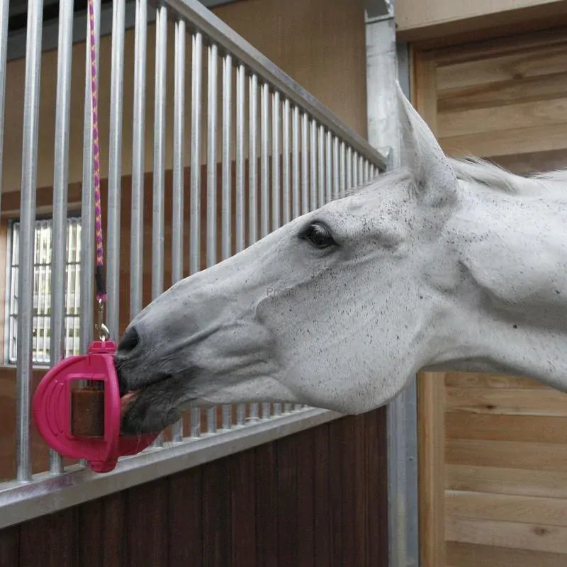 Hračka pro koně Bizzy Ball