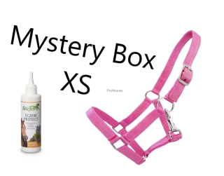Mystery Box XS