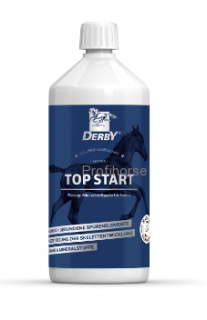 Derby Top Start, 1 kg pasta pro hříbata od 1. týdne a vysokobřezí klisny