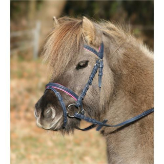 Syntetická uzdečka ELT Unicorn - modrá