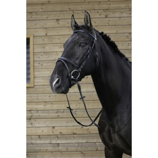 Kožená uzdečka Riding World, černá