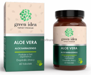 ALOE VERA - posiluje a čistí organismus