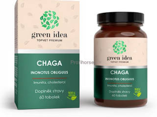 CHAGA - imunita