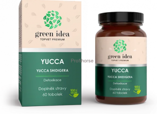 YUCCA - detoxikace