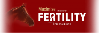 Fertility pro plemenné hřebce